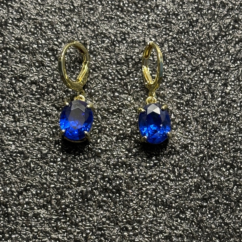 Elegant Blue and Gold Tone Earrings
